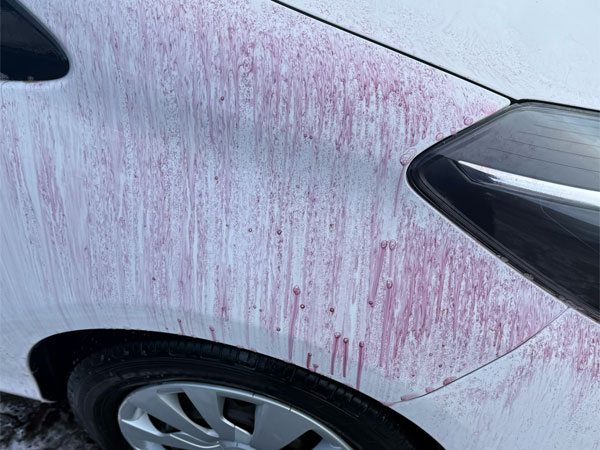 Decontamination & Protection Detail